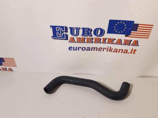 Upper Hose (right)
